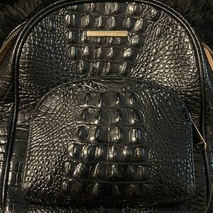 Brahmin bookbag
